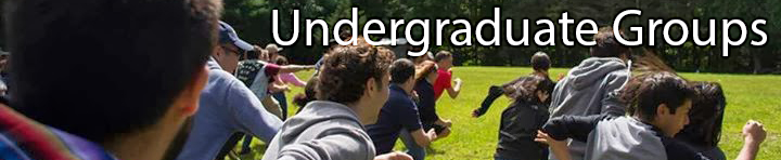 Undergraduate Groups